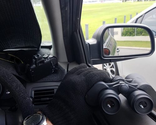 DeWatermark.ai_1750461471454